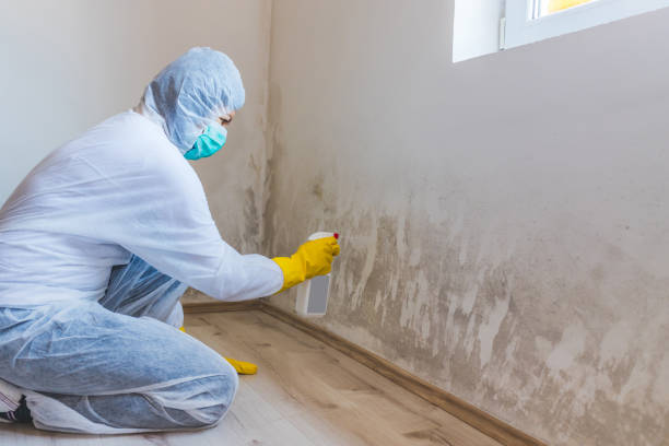 Licensed Crawl Space Mold Removal service in Harrisburg, PA - WQB Mold Removal