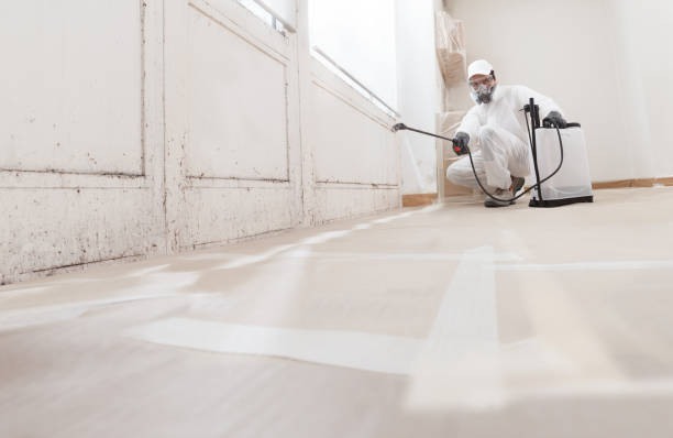 24/7 Emergency Crawl Space Mold Removal experts in Harrisburg, PA