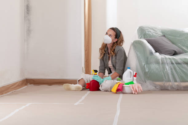 Reliable Crawl Space Mold Removal contractor in Harrisburg, PA by WQB Mold Removal